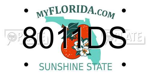 8011DS Florida License Plate