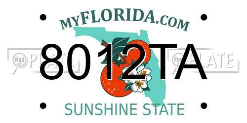8012TA Florida License Plate
