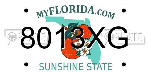 8013XG Florida License Plate