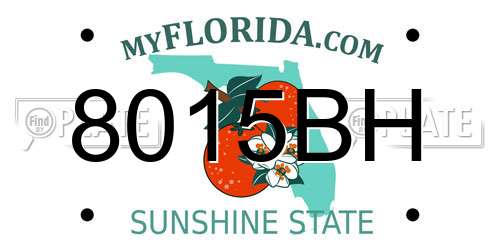 8015BH Florida License Plate