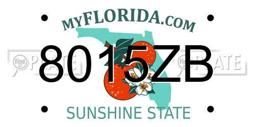 8015ZB Florida License Plate
