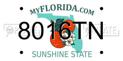 8016TN Florida License Plate
