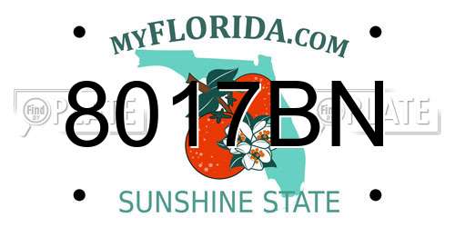 8017BN Florida License Plate