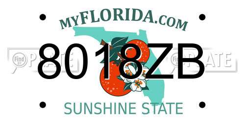 8018ZB Florida License Plate