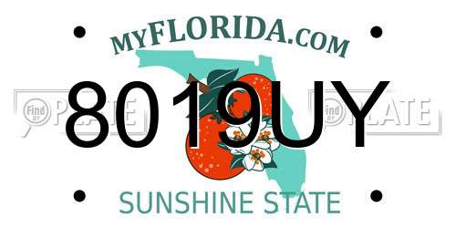 8019UY Florida License Plate