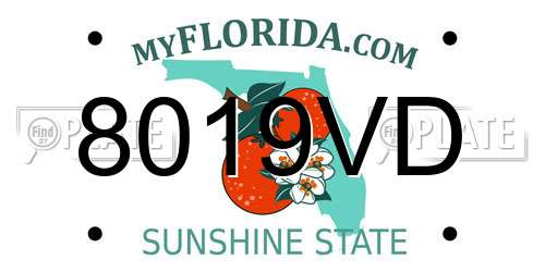 8019VD Florida License Plate
