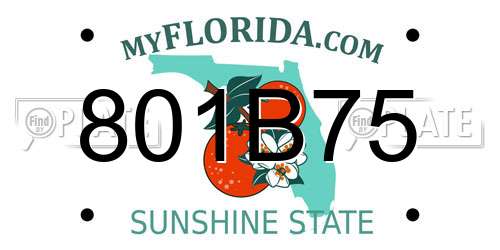 801B75 Florida License Plate