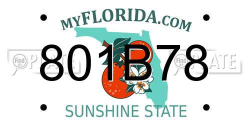 801B78 Florida License Plate