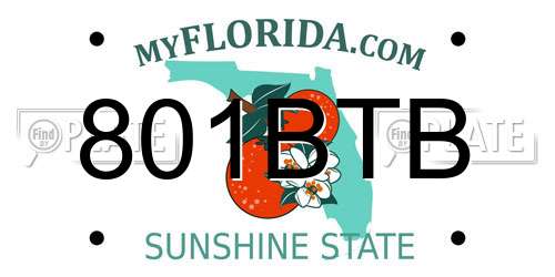 801BTB Florida License Plate
