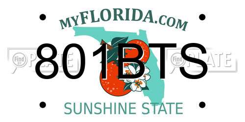 801BTS Florida License Plate