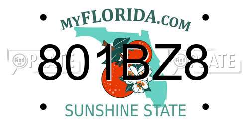 801BZ8 Florida License Plate