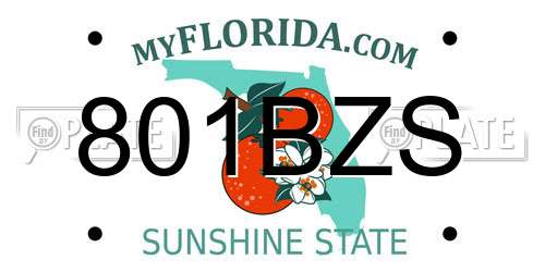801BZS Florida License Plate