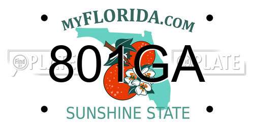 801GA Florida License Plate