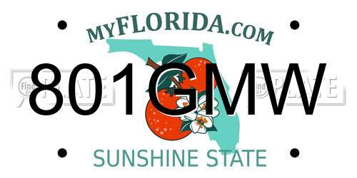 801GMW Florida License Plate