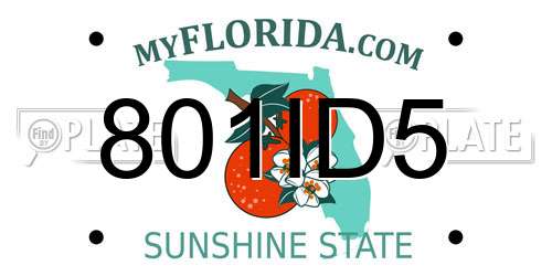 801ID5 Florida License Plate