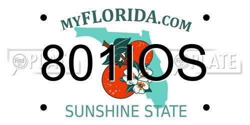 801IOS Florida License Plate