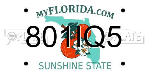 801IQ5 Florida License Plate