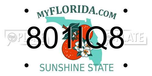 801IQ8 Florida License Plate