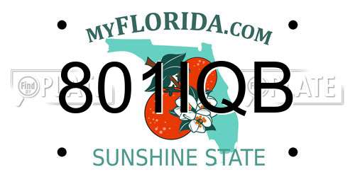 801IQB Florida License Plate