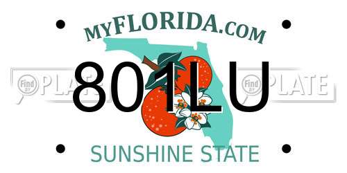 801LU Florida License Plate
