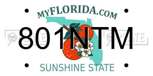 801NTM Florida License Plate
