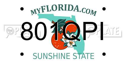 801QPI Florida License Plate
