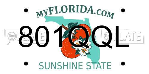 801QQL Florida License Plate