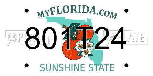 801T24 Florida License Plate