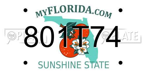 801T74 Florida License Plate