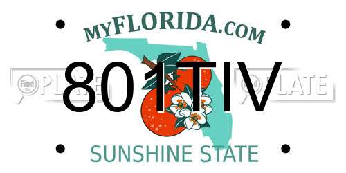 801TIV Florida License Plate