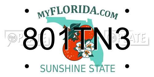 801TN3 Florida License Plate