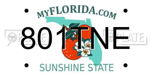 801TNE Florida License Plate