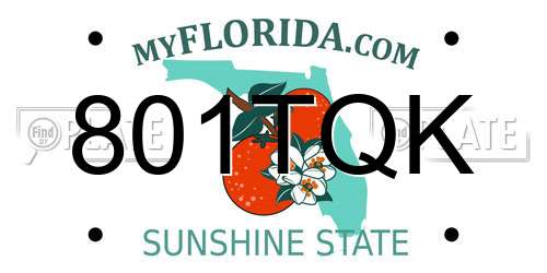 801TQK Florida License Plate