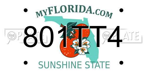 801TT4 Florida License Plate