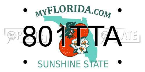801TTA Florida License Plate