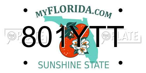801YTT Florida License Plate