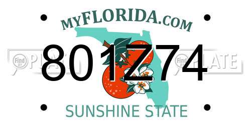 801Z74 Florida License Plate