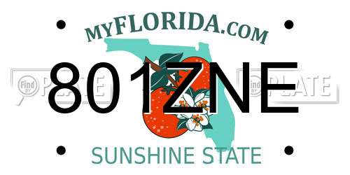 801ZNE Florida License Plate