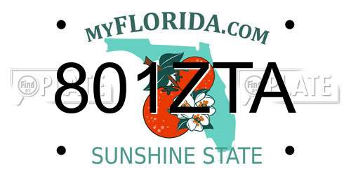 801ZTA Florida License Plate