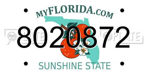8020872 Florida License Plate