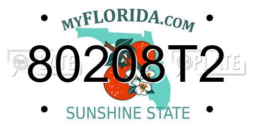 80208T2 Florida License Plate