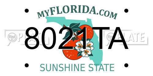 8021TA Florida License Plate