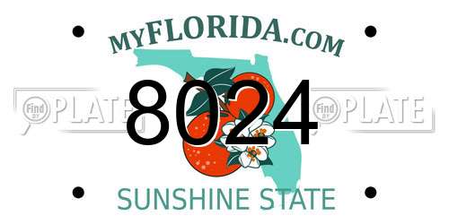 8024 Florida License Plate