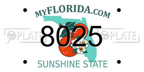 8025 Florida License Plate