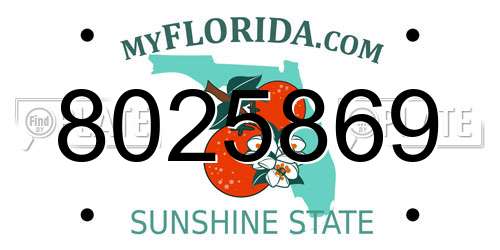 8025869 Florida License Plate