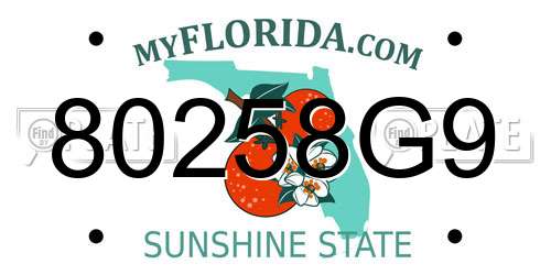 80258G9 Florida License Plate