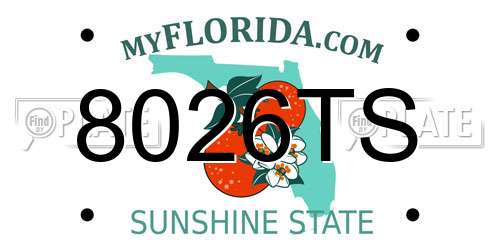 8026TS Florida License Plate