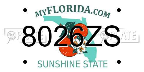 8026ZS Florida License Plate