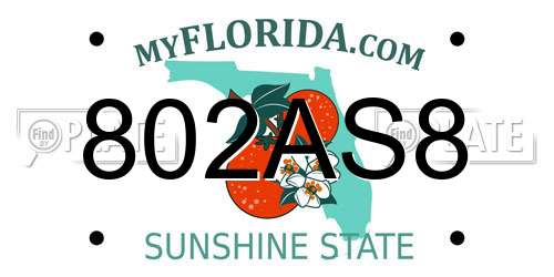 802AS8 Florida License Plate