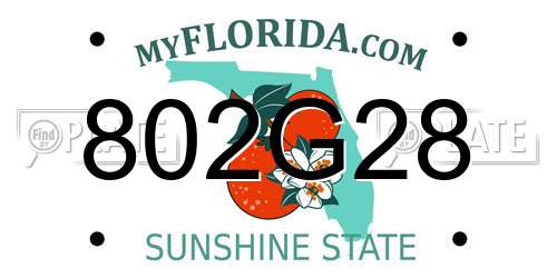 802G28 Florida License Plate